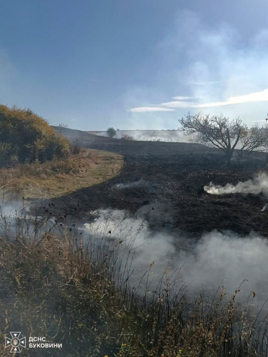 На Буковині за добу вигоріло 2,5 гектара сухої трави та сміття На Буковині за добу вигоріло 2,5 гектара сухої трави та сміття
