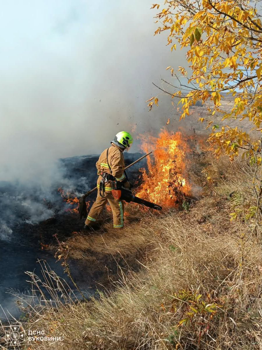 На Буковині за добу вигоріло 2,5 гектара сухої трави та сміття На Буковині за добу вигоріло 2,5 гектара сухої трави та сміття