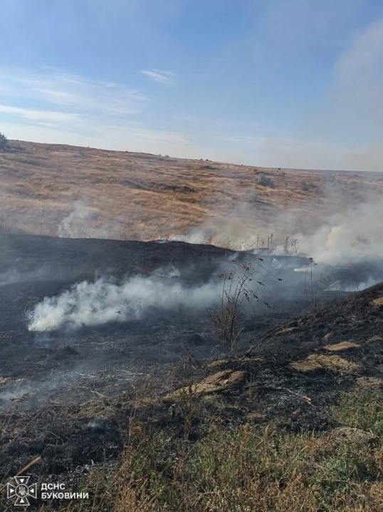 На Буковині за добу вигоріло 2,5 гектара сухої трави та сміття На Буковині за добу вигоріло 2,5 гектара сухої трави та сміття