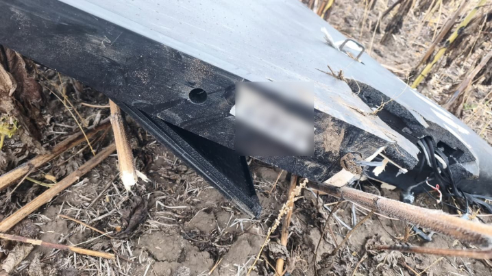 Прикордонники знищили російський БПЛА поблизу кордону Буковини з Молдовою