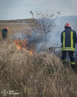 На Буковині горів гараж площею 100 м. кв та суха трава